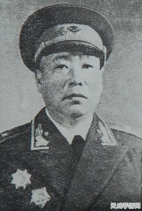 保卫萝卜3攻略揭秘，码头第23关完美通关技巧大公开