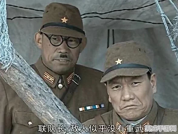 二战风云2深度攻略，揭秘番号获取秘籍，助你战场称雄！
