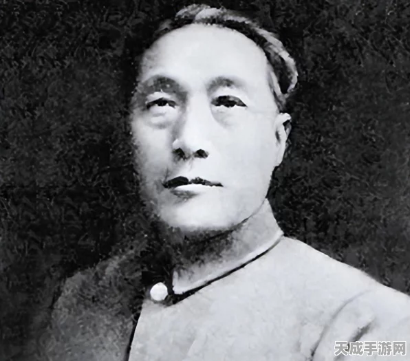 二战风云2深度攻略，揭秘番号获取秘籍，助你战场称雄！