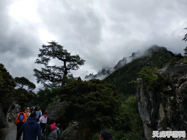 洛克王国怀旧攻略，重温经典，探险之旅再启航