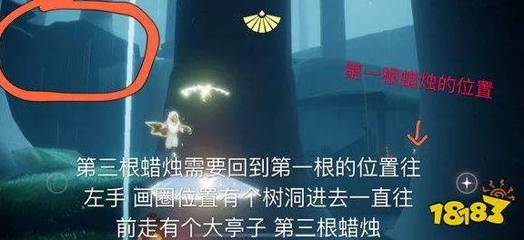 光遇雨林冥想攻略，解锁心得获取秘籍，助你快速进阶！