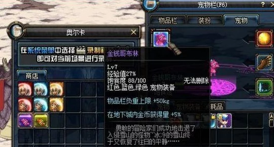 DNF亚米宠物满级深度解析，是否值得你倾心培养？