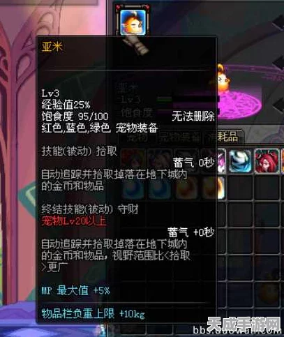 DNF亚米宠物满级深度解析，是否值得你倾心培养？