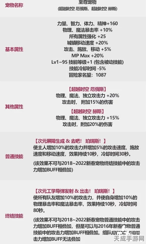 DNF亚米宠物满级深度解析，是否值得你倾心培养？