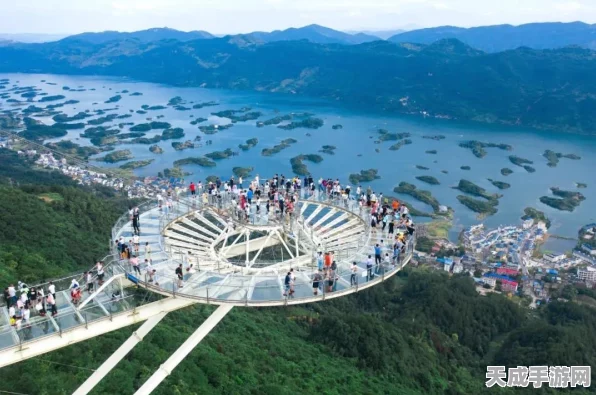 天空之城大挑战！植物大战僵尸2第13天通关秘籍揭秘