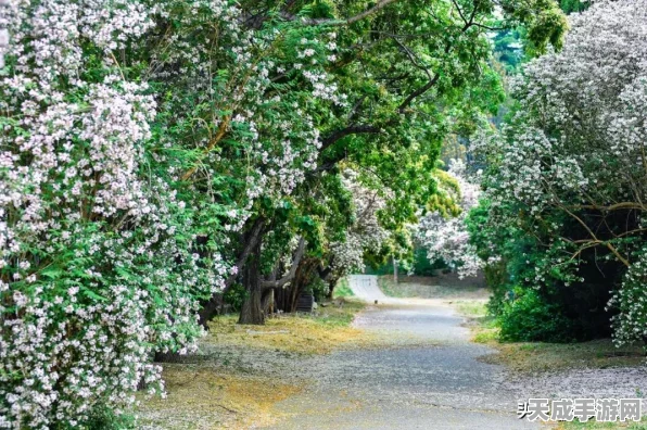 生化危机2重制版，揭秘研究所植物园密码，解锁隐藏剧情全攻略