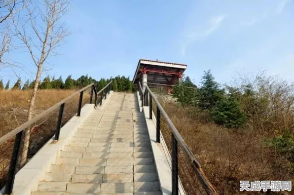 宝可梦大探险，新手必看！初始精灵选择全攻略，助你探险之旅一骑绝尘