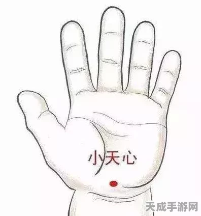 剑网3指尖江湖，揭秘小天零件搜集高效攻略，助你称霸江湖！