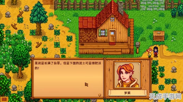 星露谷物语，解锁背包扩容秘籍，打造无限存储传奇
