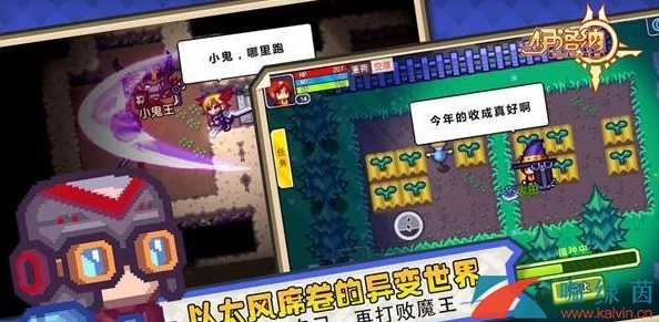伊洛纳手游攻略，揭秘二次元胶囊获取全攻略
