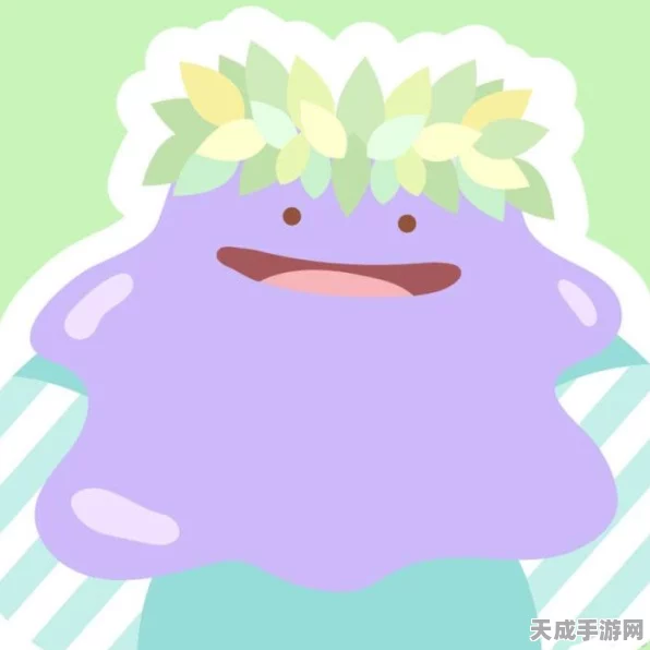 宝可梦大探险，揭秘百变怪的神秘进化之路