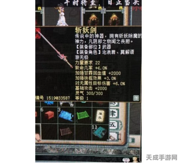 大话西游手游，顶尖对决中的血队敏队配饰搭配秘籍
