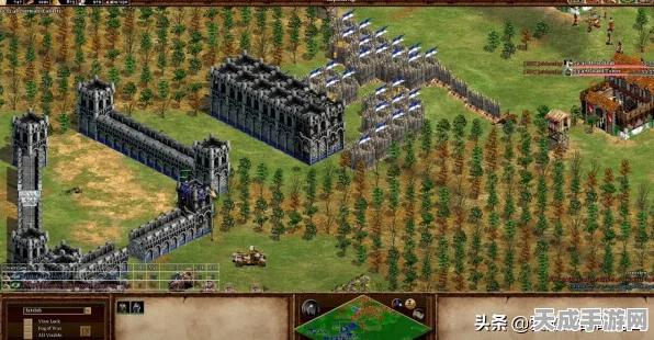 帝国时代2，中世纪霸主速成秘籍，称霸战场不是梦