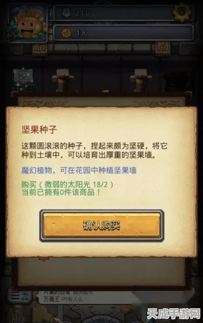 揭秘不思议迷宫，太阳花试炼高效通关秘籍与实战攻略