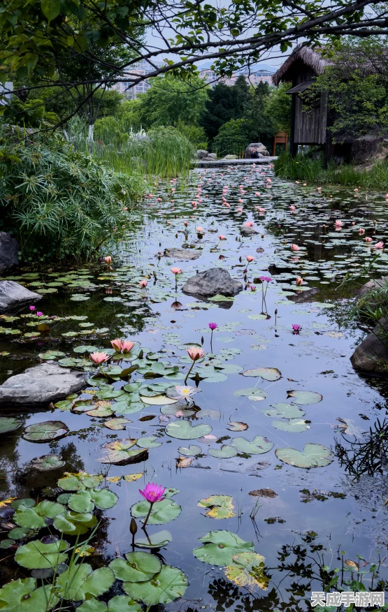 幻塔芯片3深度攻略，揭秘金色芯片3型高效获取实战技巧与策略布局