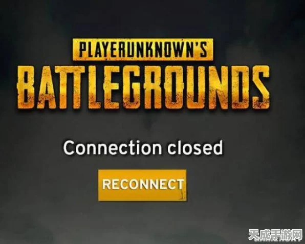 绝地求生大逃杀，Connection Closed错误BUG终极解决方案揭秘
