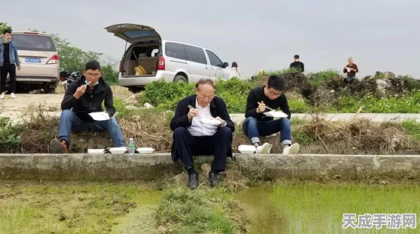 使命召唤手游深度攻略，揭秘农场第4关高效通关秘籍