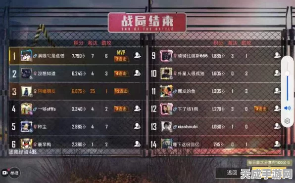 和平精英玩家昵称突变U+数字之谜，背后原因与解决方案揭秘