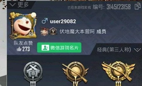 和平精英玩家昵称突变U+数字之谜，背后原因与解决方案揭秘