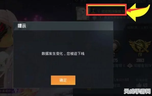 和平精英玩家昵称突变U+数字之谜，背后原因与解决方案揭秘