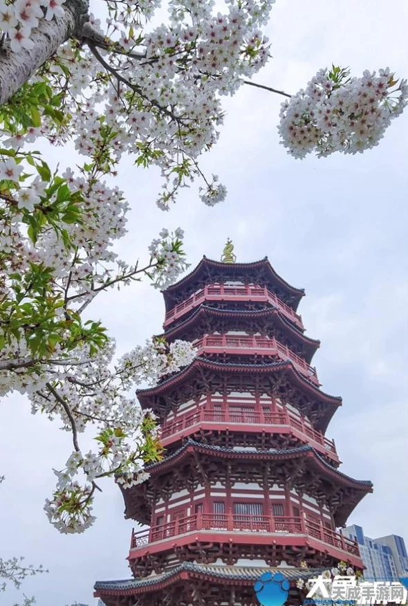 樱校时空恋人，沉浸式樱花校园恋爱模拟游戏全解析