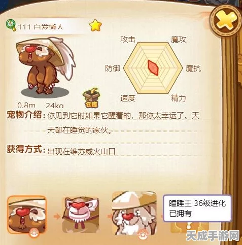 洛克王国深度攻略，揭秘瞌睡王进化睡神的神秘路径