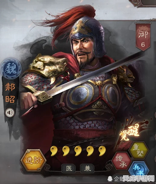 三国志战略版新将揭秘，郝昭实力解析与战场应用