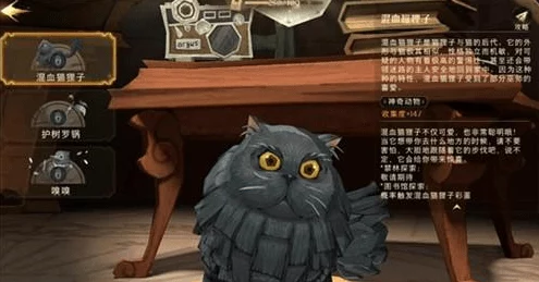 哈利波特魔法觉醒，灵猫捕捉全攻略，揭秘高效捕捉技巧