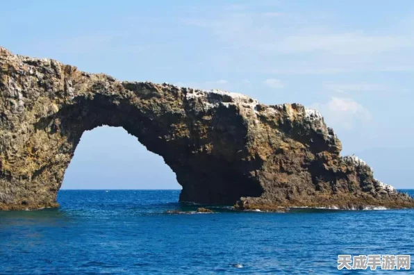 迷你世界探险记，寻海大赛启航，探索未知海域的奇幻之旅