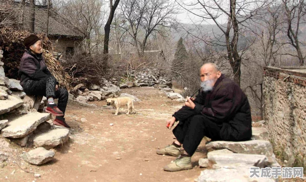 饥荒手游深度解析，资源管理的微妙平衡与船难蝴蝶的捕捉挑战