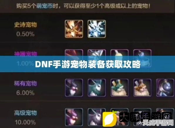 DNF手游宠物装备获取攻略，解锁强力伙伴的秘诀！