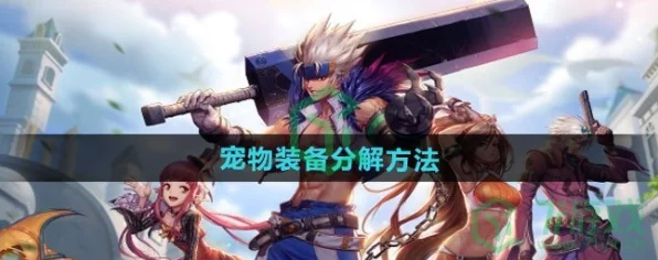 DNF手游宠物装备获取攻略，解锁强力伙伴的秘诀！