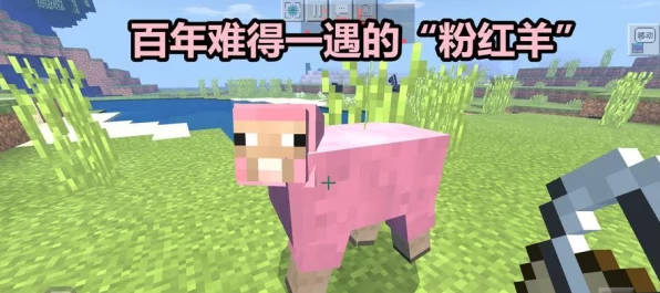 我的世界深度攻略，羊的驯服艺术，解锁高效养殖秘籍