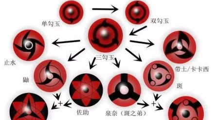 火影忍者，揭秘血轮眼的终极技能与战斗奥秘