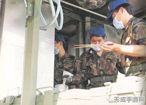 胡萝卜导弹车大揭秘，植物大战僵尸2进阶效果全解析