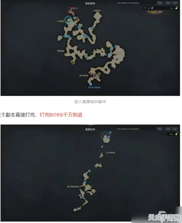 揭秘失落方舟，帕普尼卡任务全攻略与实战纪实