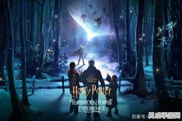 哈利波特魔法觉醒，夜游霍格沃茨，探索禁林深处的秘密挑战