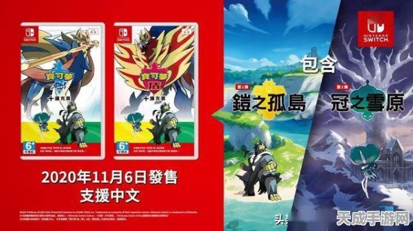 宝可梦剑盾冠之雪原揭秘，国王爱马挑战赛，勇者征途新篇章！