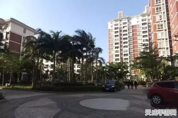 天涯明月刀手游，揭秘重名背后的命名奥秘与代码艺术