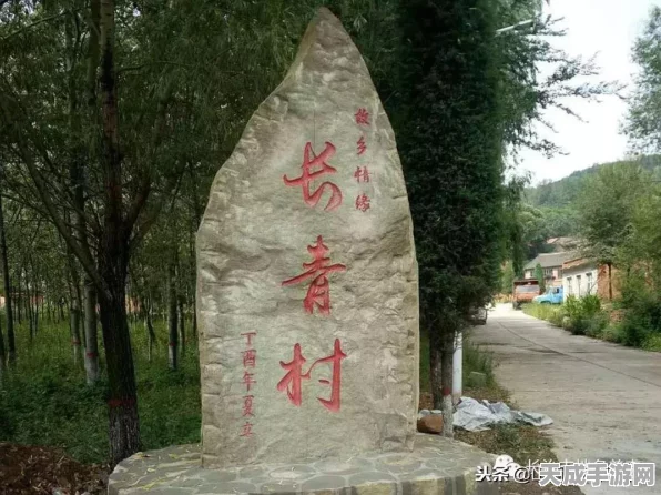 天涯明月刀手游，揭秘重名背后的命名奥秘与代码艺术
