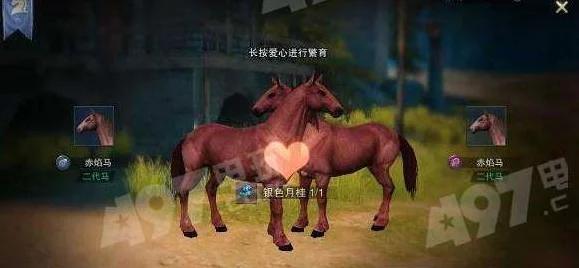 猎魂觉醒深度解析，马匹繁殖全攻略与最新动态