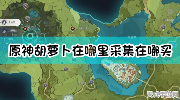 原神胡萝卜采集大赛全攻略，揭秘顶级采集点与极速路线，赢取丰厚奖励！
