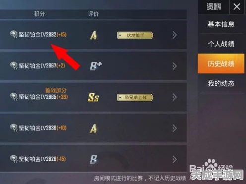 和平精英等级查看全攻略，解锁你的游戏成就新篇章