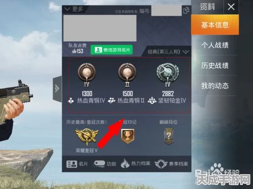 和平精英等级查看全攻略，解锁你的游戏成就新篇章