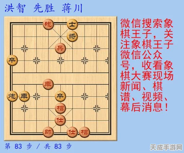 天天象棋残局挑战揭秘，第42期精妙走法全攻略