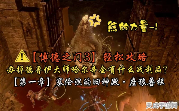 博德之门3深度攻略，大德鲁伊哈尔辛的终极解救策略