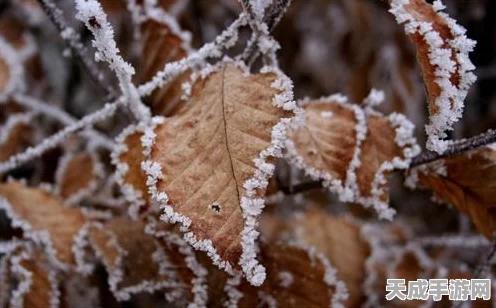 迷你世界高手进阶，揭秘精铁锭制作秘籍，速通高级装备获取之路