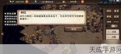烟雨江湖探秘，菱形石头解锁隐藏奇遇与强力装备