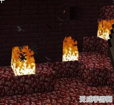 我的世界冰与火之歌，揭秘龙蛋孵化全攻略