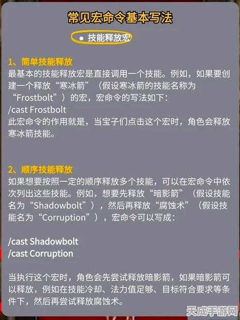 揭秘魔兽世界高效战斗秘诀，宏命令全面解析